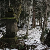 杉並木脇に建つ法華多宝塔の写真