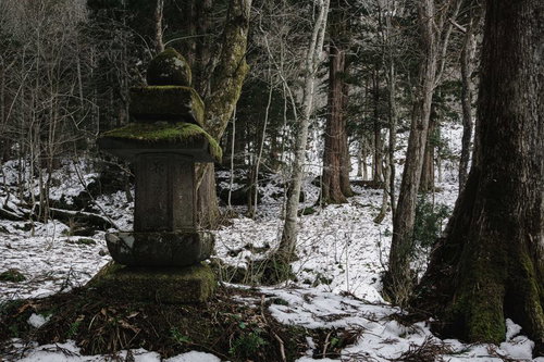 杉並木脇に建つ法華多宝塔