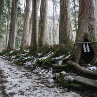 戸隠奥社の杉並木と祠の写真