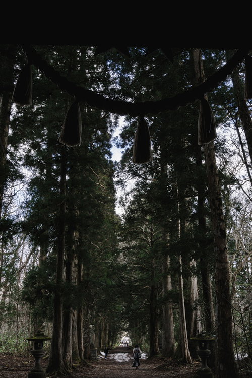 随神門下から見た石灯籠と参道