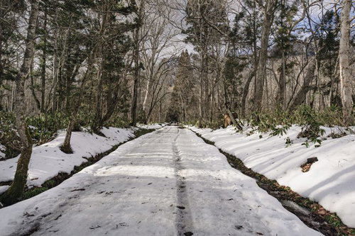 雪の残る戸隠神社奥社参道