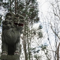 鋭い眼光であたりを見下ろす随神門近くに建つ狛犬の写真