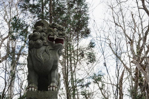 鋭い眼光であたりを見下ろす随神門近くに建つ狛犬