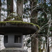 苔むした宝珠と笠の随神門脇の石灯籠の写真