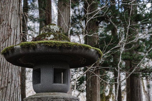 苔むした宝珠と笠の随神門脇の石灯籠