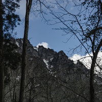 木々の合間に見える雪を残す戸隠山の姿の写真