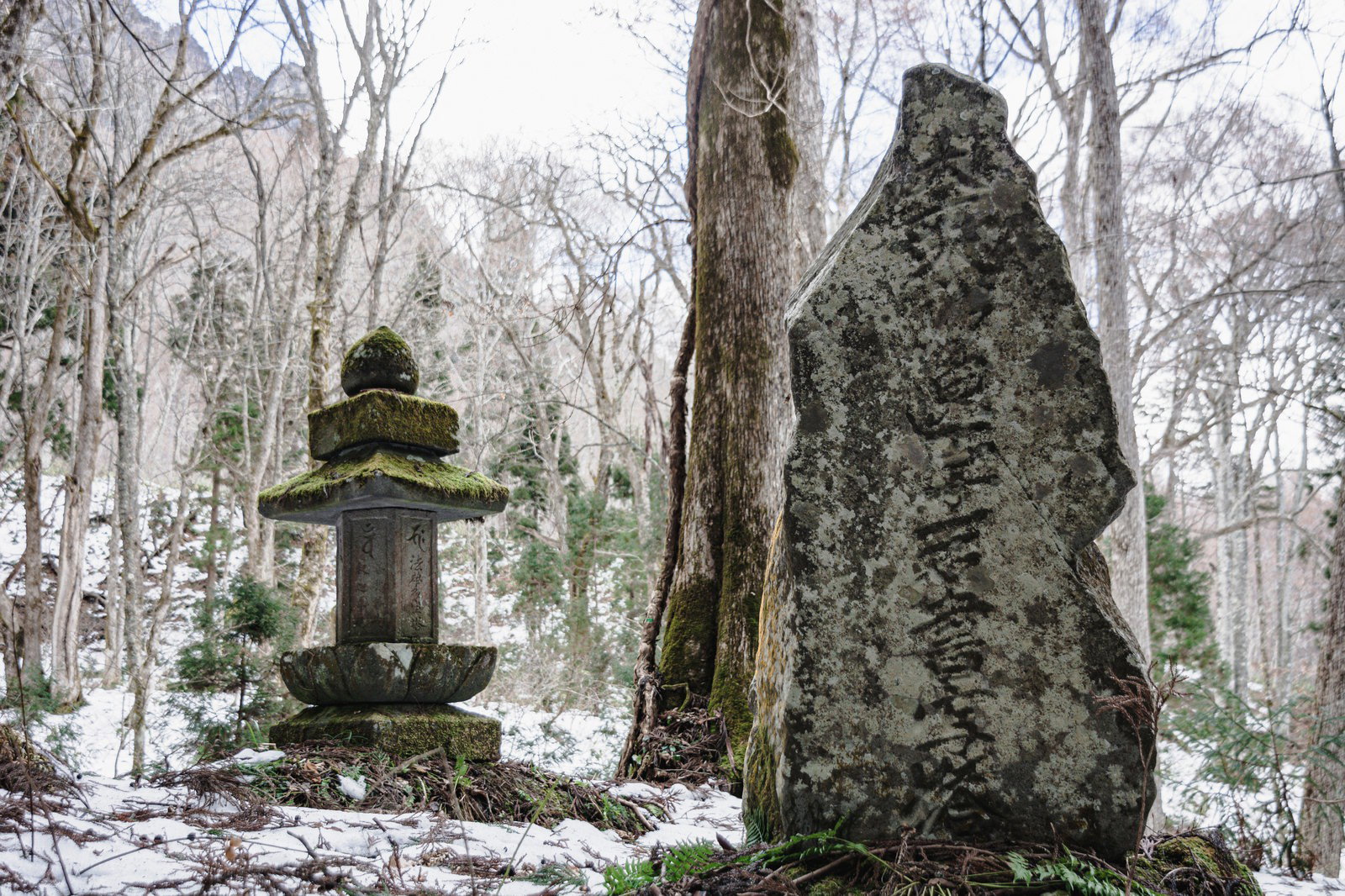 戸隠の杉並木に囲まれた参道で、苔が付いた石碑と法華多宝塔が雪の中に建つ