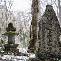 杉並木の脇に建つ大乗妙典一字一石書写碑と法華多宝塔の写真