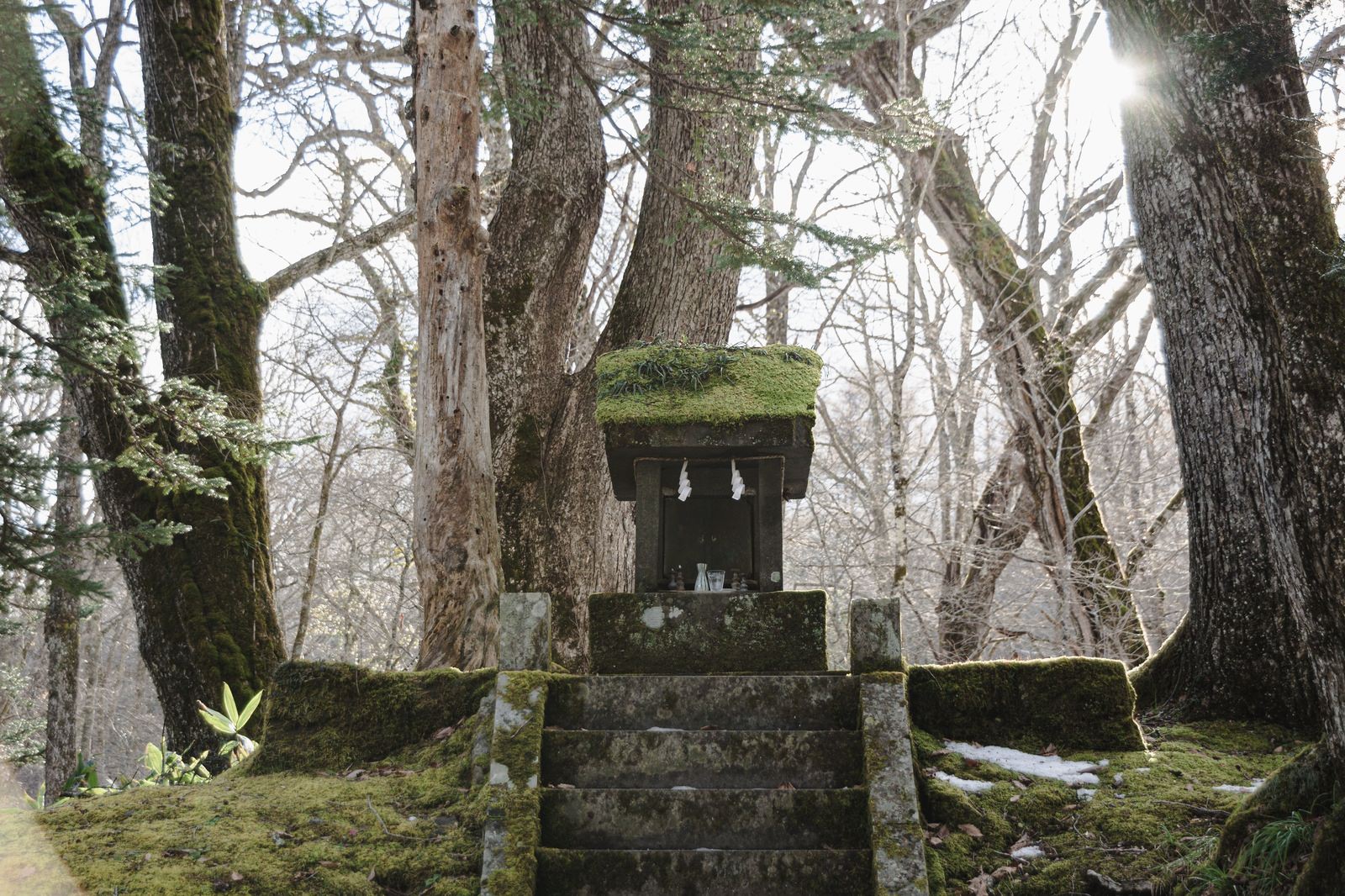 樹齢の古い杉林に囲まれた苔生した石造の龍王祠。背後から射す日の光がかすむ