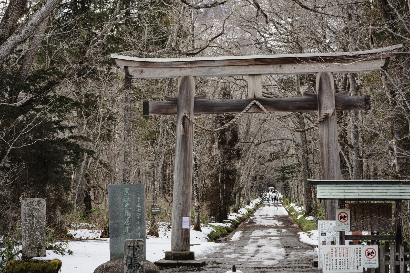 初冬の雪が残る戸隠神社奥社の大鳥居と参道