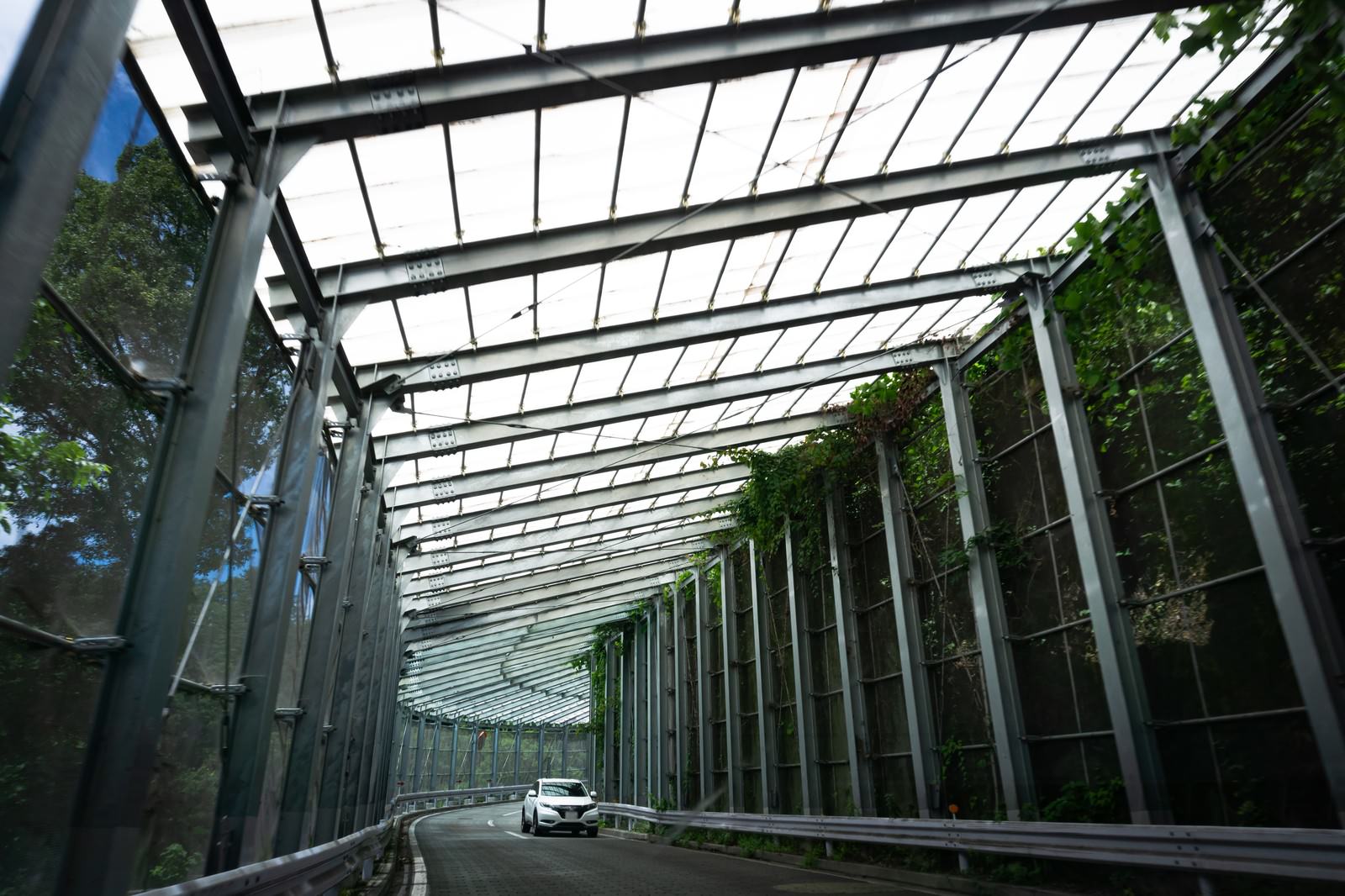 戸隠七曲りに設置されたスノーシェルター内の車道風景