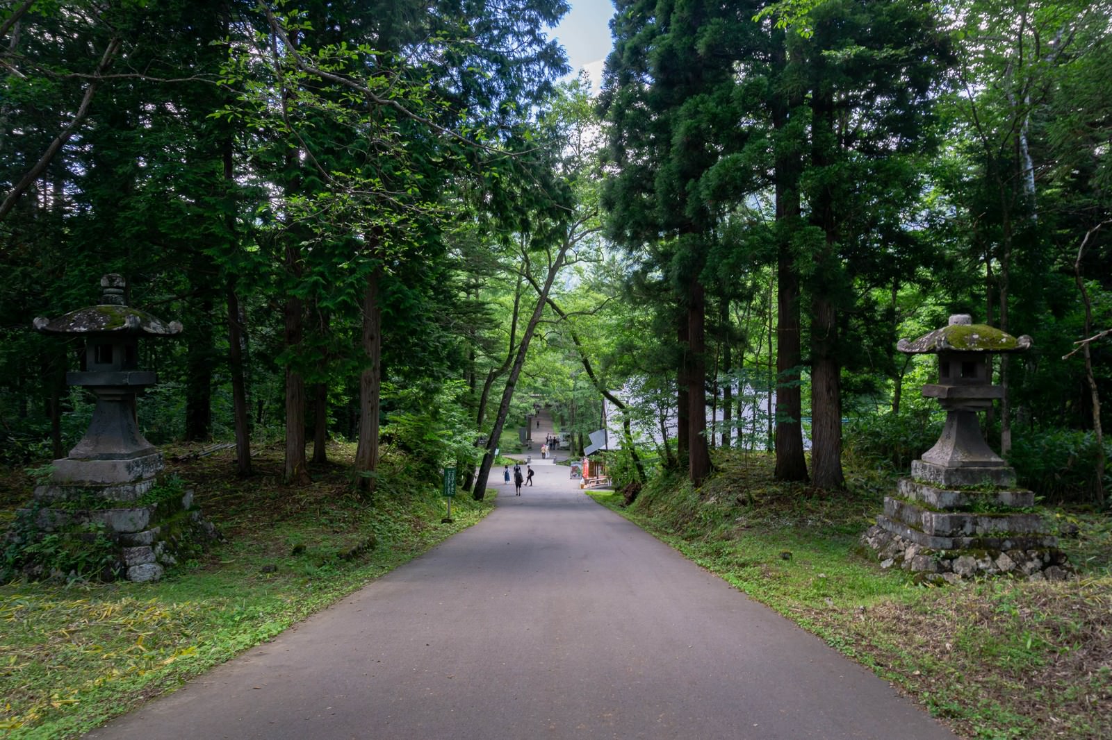 戸隠神社奥社参道口へと向かう坂道を写した風景