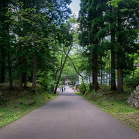 戸隠神社奥社（とがくしじんじゃおくしゃ）参道口へと向かう坂道の写真