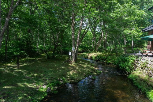 戸隠神社奥社参道口付近を流れる「さかさ川」の清らかな流れ