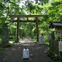 戸隠神社奥社参道口の大鳥居付近の様子の写真