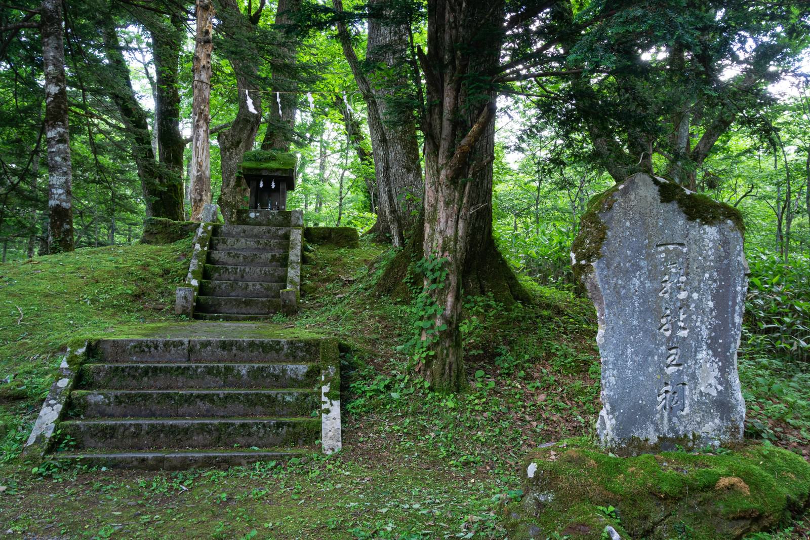 苔に覆われた石段の上に立つ一龕龍王祠の祠と石碑