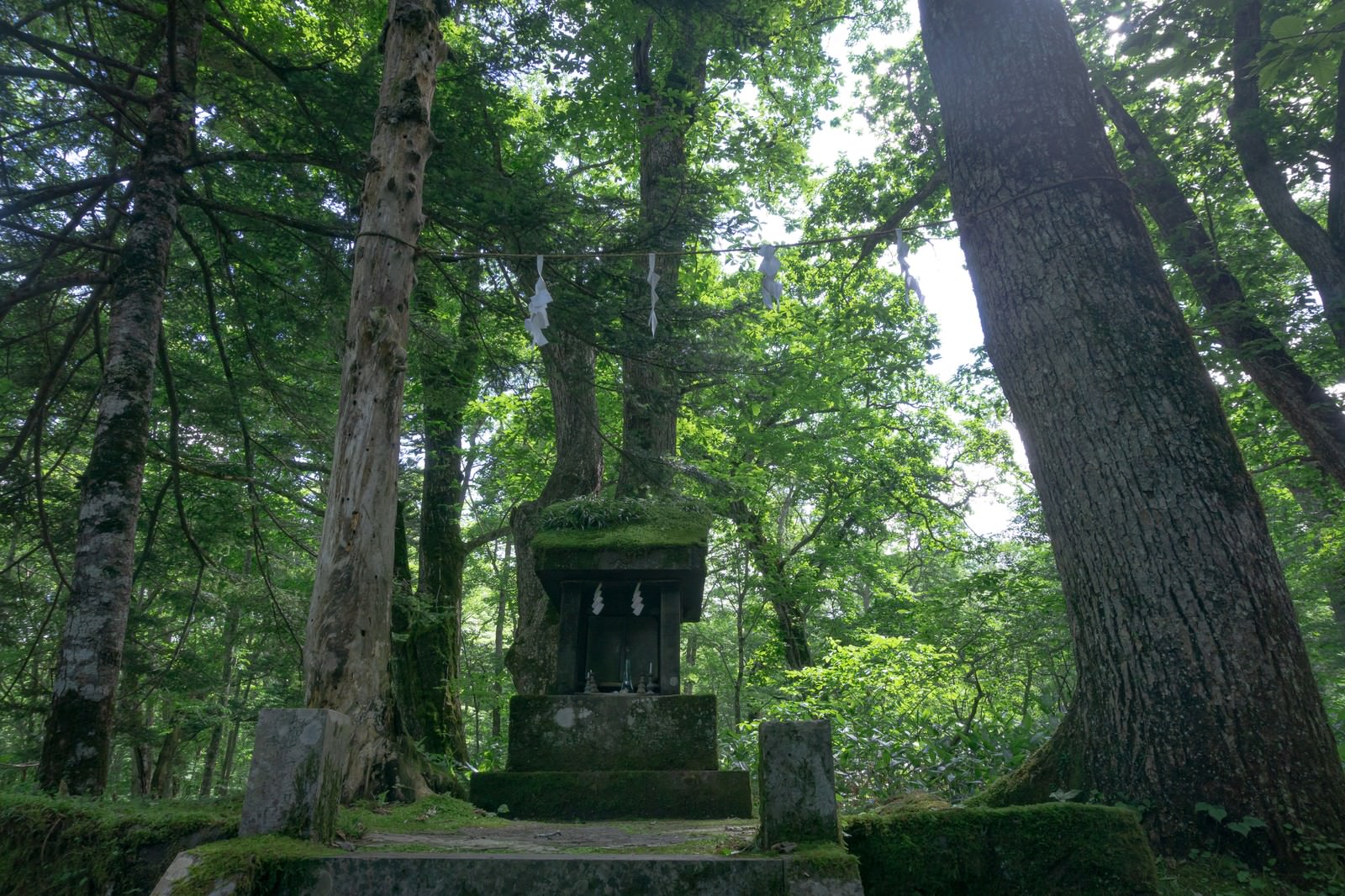 緑豊かな森の中に佇む石造りの小さな祠