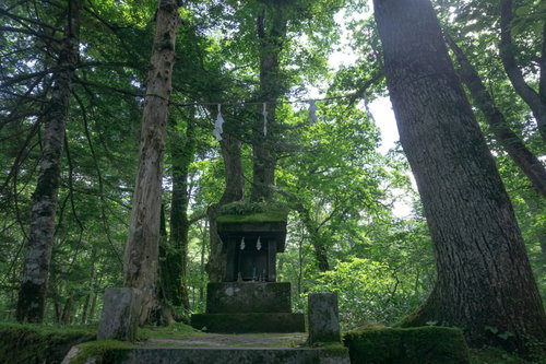 木々の中に建つ一龕龍王（いっかんりゅうおう）を祀る石造りの小さな祠