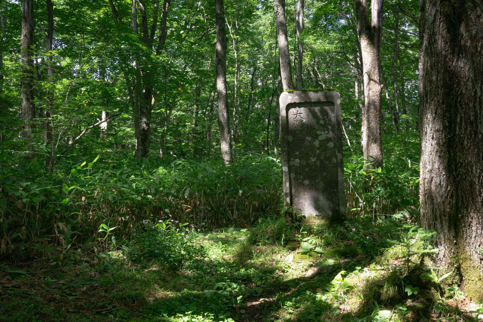 戸隠神社奥社参道脇の緑豊かな木々に囲まれた高妻山神鏡碑