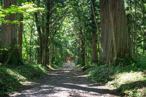 真っすぐに伸びる参道の先に見える朱色の隋神門