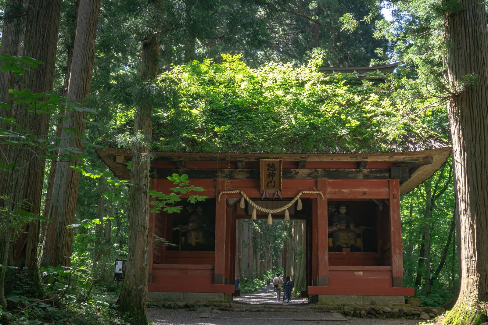 深い杉林に囲まれた参道に建つ戸隠神社奥社の茅葺屋根の随神門