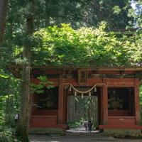 戸隠神社奥社参道に建つ茅葺屋根の随神門の写真