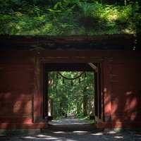 朱色の隋神門越しに来た道を振り返るの写真