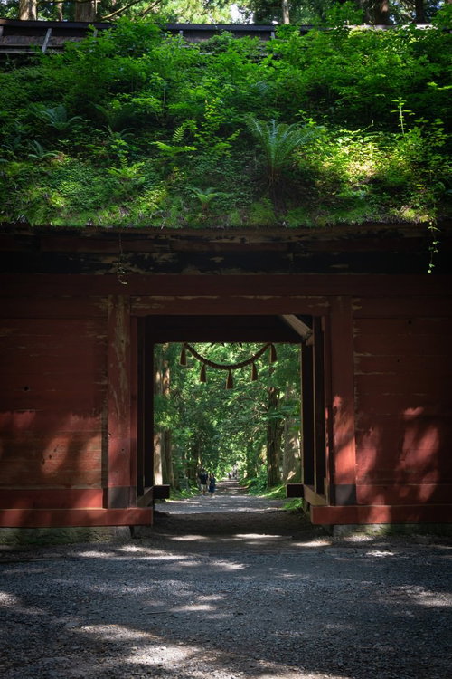 朱色の隋神門越しに来た道を振り返る