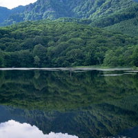 生い茂る木々の緑が美しく水面に映える鏡池の写真