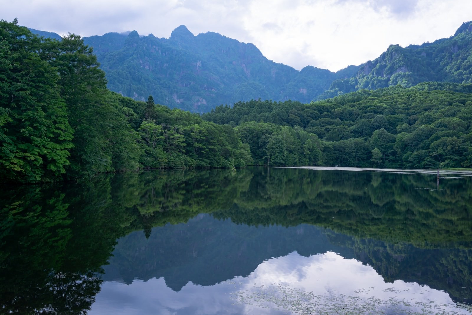 長野県戸隠の鏡池で森と山が水面に映り込む美しい水鏡の風景