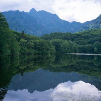 圧倒される程の緑が埋め尽くす鏡池周囲の豊かな森の写真