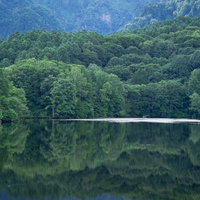 緑に包まれる夏の鏡池の写真