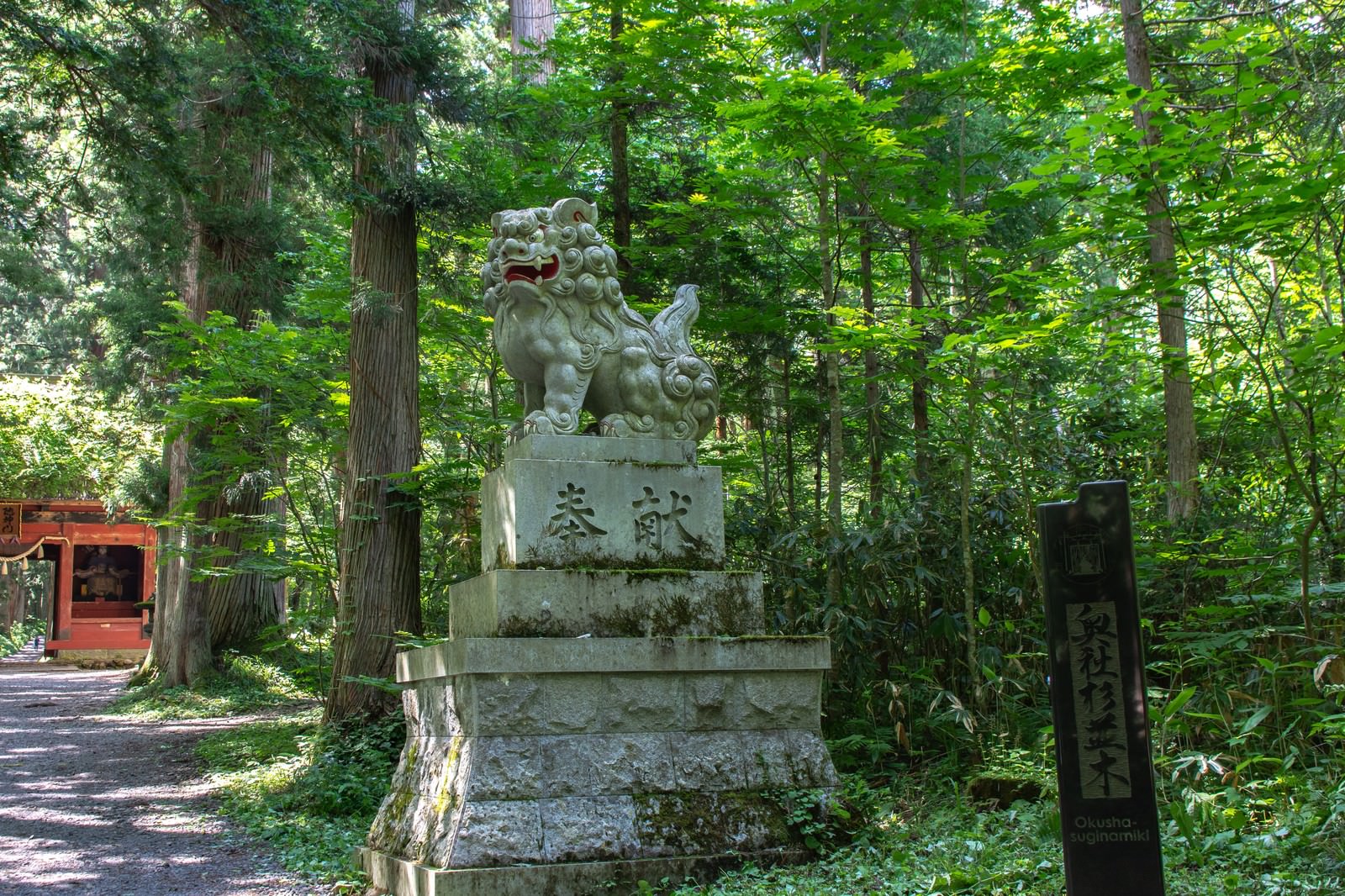 戸隠神社奥社の随神門手前で、緑の木々に囲まれた参道に佇む狛犬と杉並木の碑