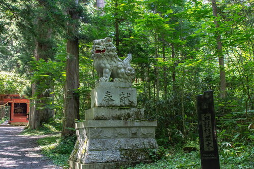 随神門手前で迎えてくれる狛犬と奥社杉並木の碑