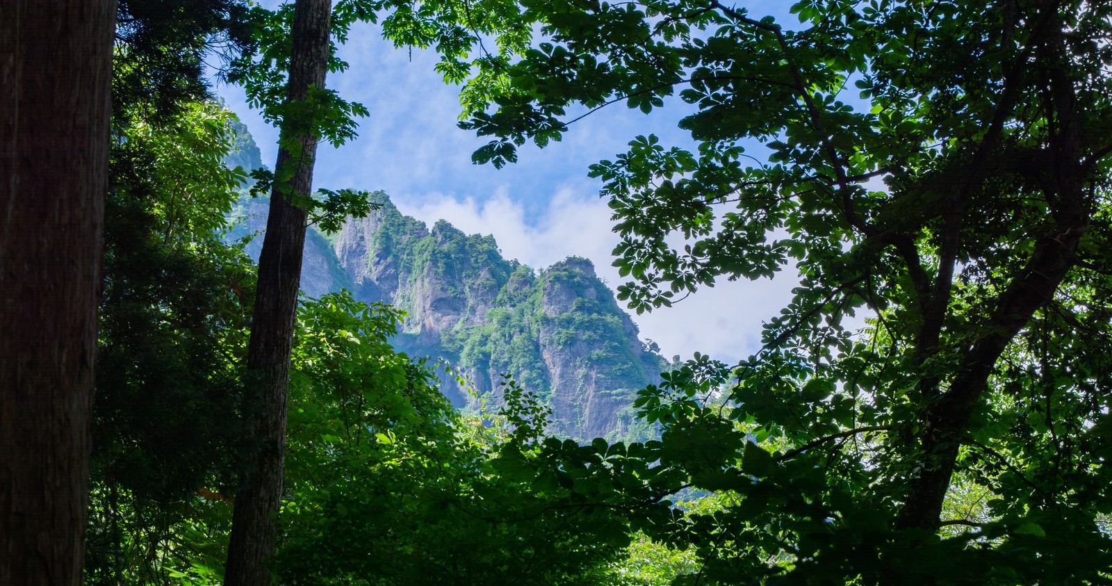 緑の木々の隙間から見える戸隠の険しい山々の風景