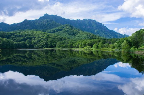 空の青さと雲の白、そして木々の緑に彩られる夏の鏡池
