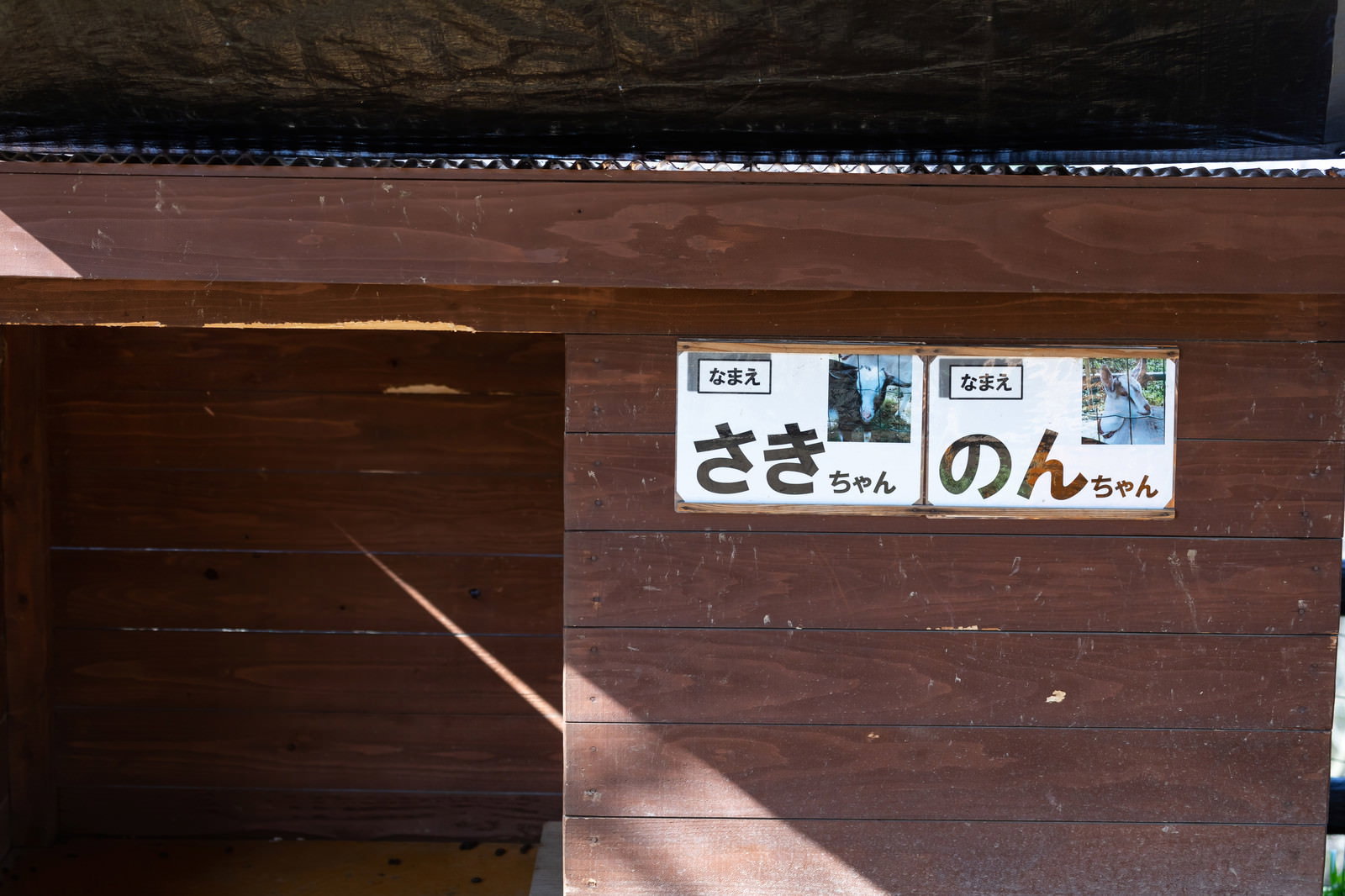 木製施設に設置されたシバヤギの飼育名札「さきちゃん」と「のんちゃん」