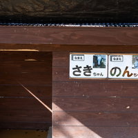 崎野自然公園で飼育されてる山羊の名前（さきちゃんとのんちゃん）の写真