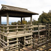 崎野自然公園の木製アスレチック遊具と展望台の写真