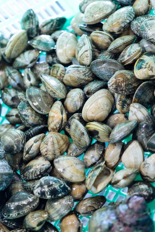 大村湾で獲れたあさりが市場に積まれた様子