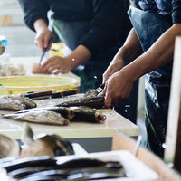 まな板の上で魚のウロコ取りをする手元の作業の写真