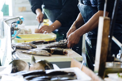 まな板の上で魚のウロコ取りをする手元の作業