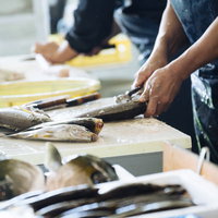 大村湾漁協組合のまな板で魚の下ごしらえをする作業風景の写真