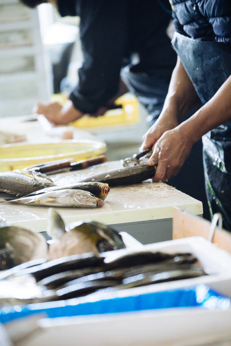 大村湾漁協組合のまな板で魚のウロコ取りをする下ごしらえ作業