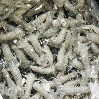 時津町の漁港と係留された漁船の写真