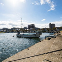 大村湾の漁港に係留された漁船と防波堤の風景の写真