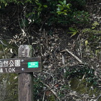 長崎県時津町の鳴鼓岳自然公園に設置された緑色の道標の写真