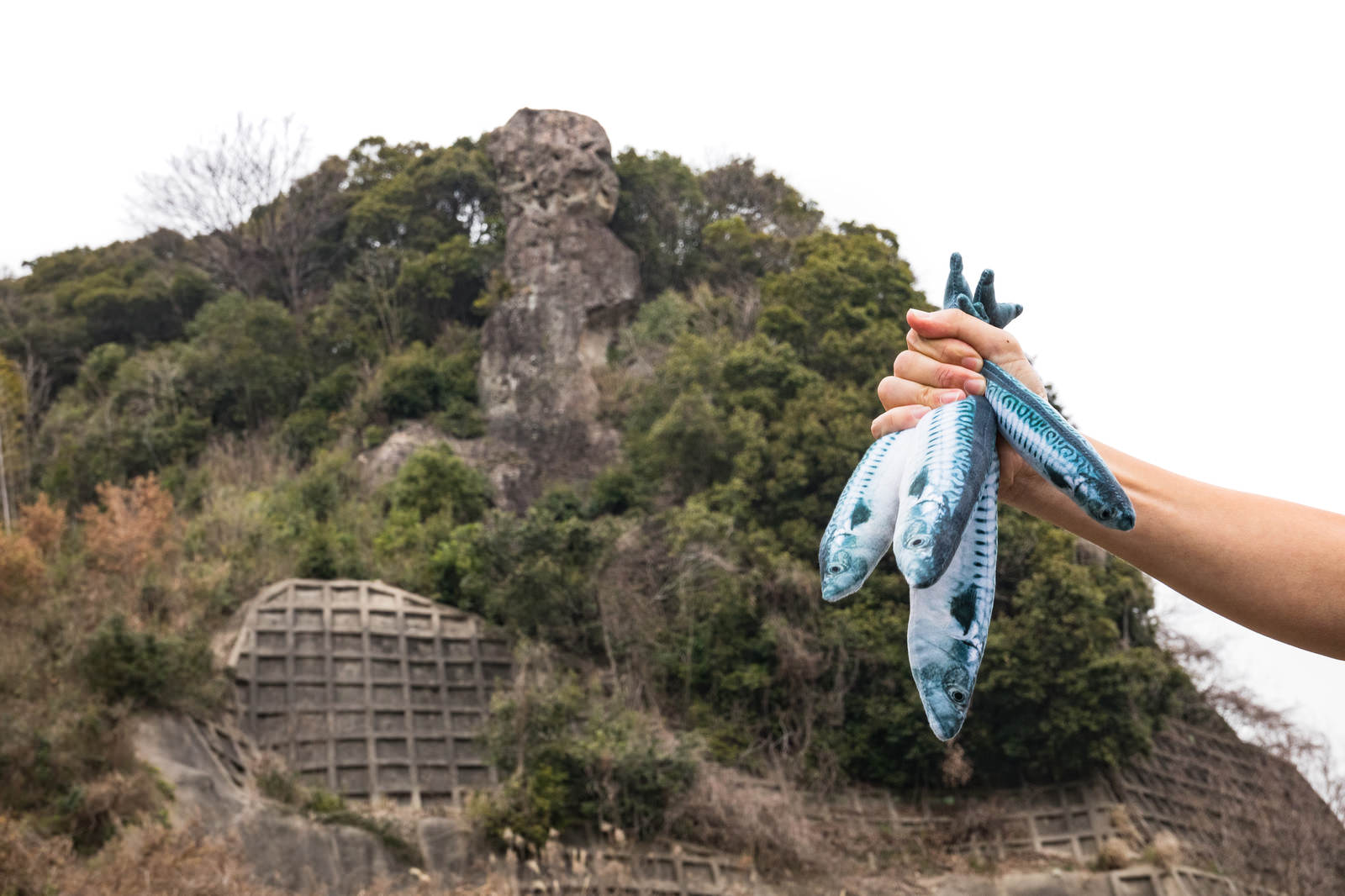 山中の巨大な岩山「鯖くさらかし岩」と魚を持つ人物の手