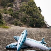 時津町の鯖くさらかし岩と砂利浜に置かれた鯖のぬいぐるみの写真