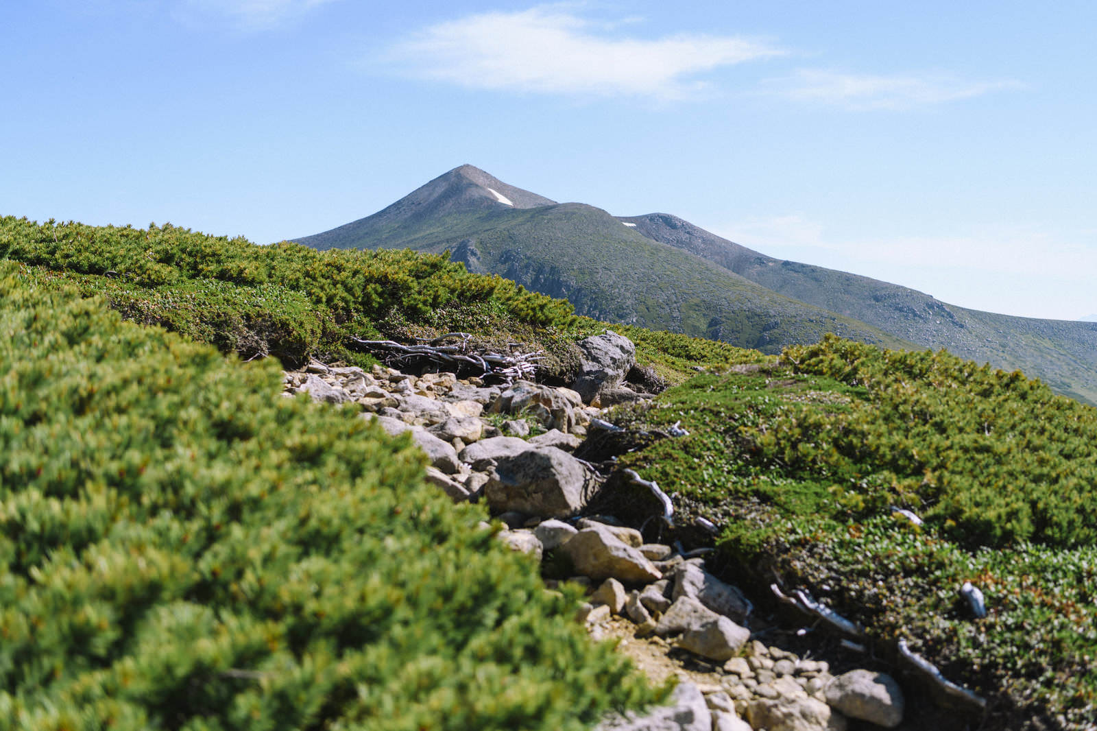 上ホロカメットク山の山腹から見た十勝岳の景色。緑の植生と岩場の登山道が写っている